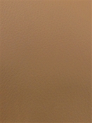 Arbor GRS Kalahari Mitchell Vinyl Fabric